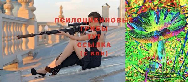 хмурый Волосово