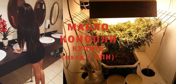 дмт Краснослободск