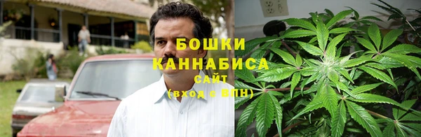 spice Вяземский